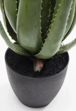 KARE Design Tekokasvit*Aloe Tekokasvi 69cm