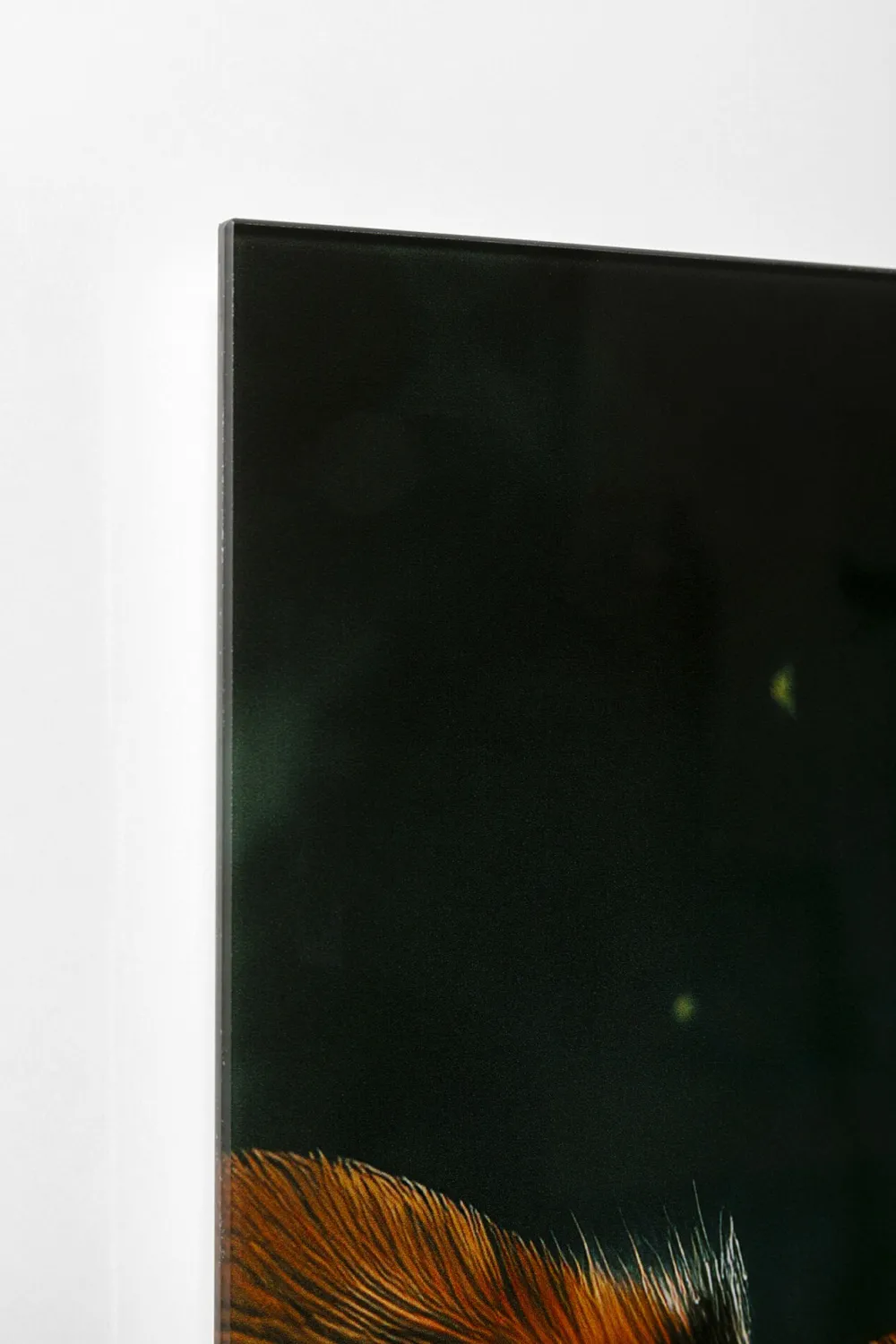 KARE Design Taulut|Olohuone*Astronauts Dogs Astronautti Koirat Lasitaulu 80x60cm