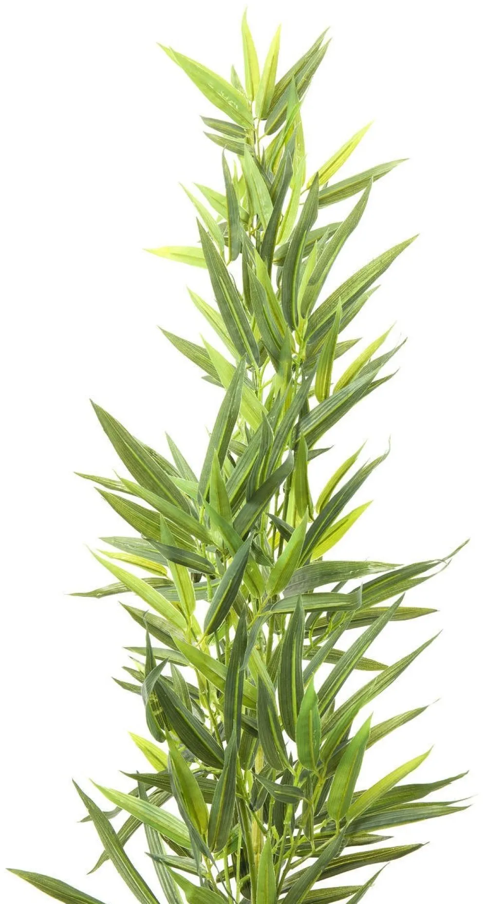 KARE Design Tekokasvit*Bamboo Tree Tekokasvi 200cm