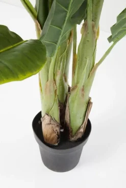 KARE Design Tekokasvit*Banana Tree Tekokasvi 180cm