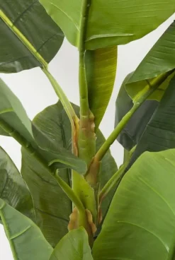 KARE Design Tekokasvit*Banana Tree Tekokasvi 180cm