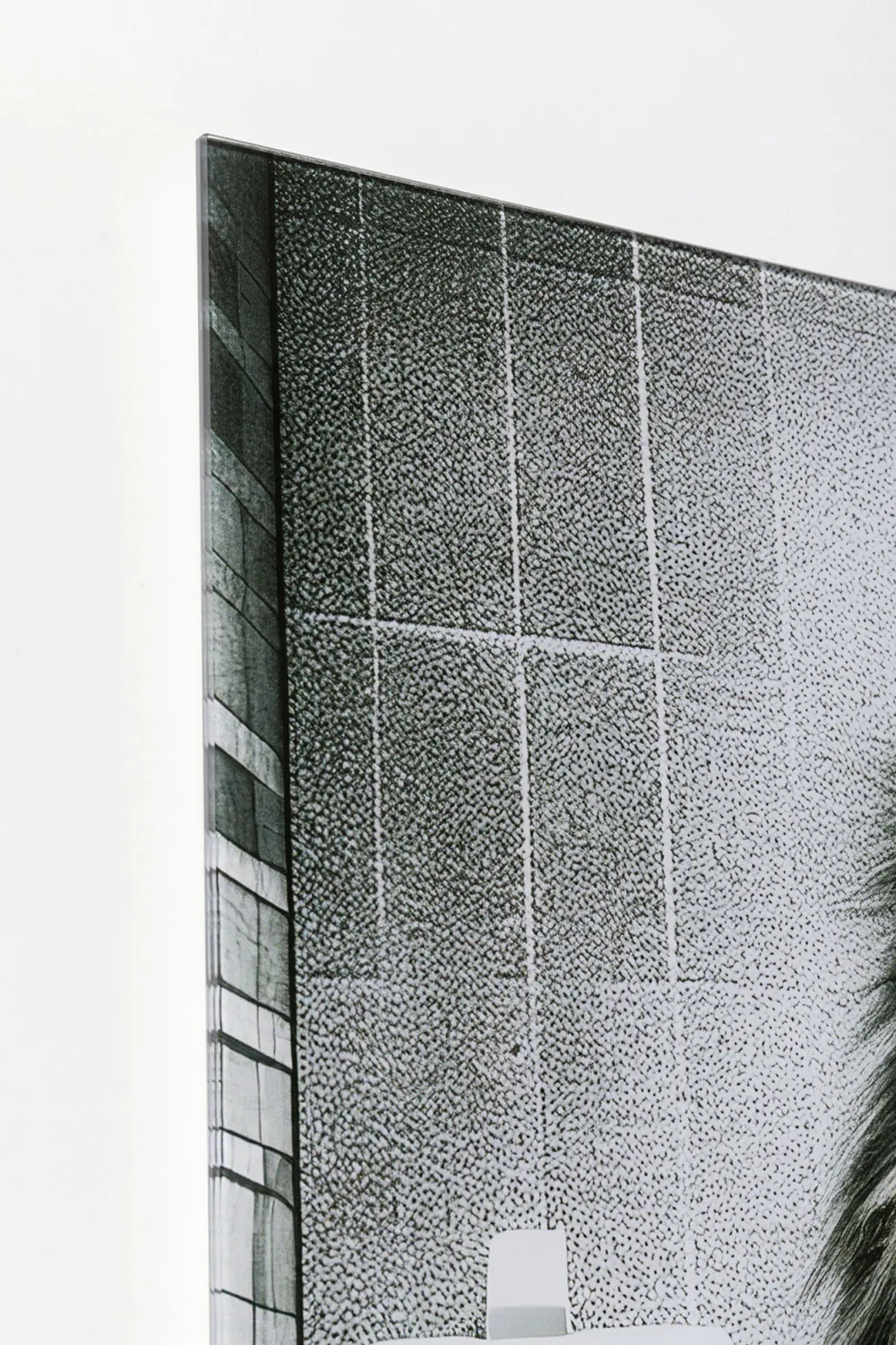 KARE Design Taulut|Olohuone*Bath Lion Leijona Lasitaulu 60x80cm