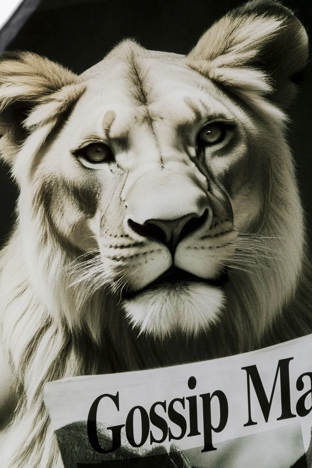 KARE Design Taulut|Olohuone*Bath Lioness Leijona Lasitaulu 60x80cm