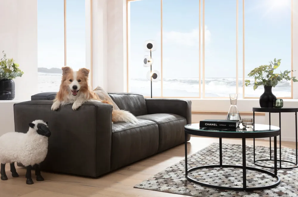 KARE Design Jalalliset Koriste-Esineet*Bathilde Pässi Valkoinen 48cm