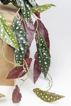 KARE Design Tekokasvit*Begonia Tekokasvi 45cm