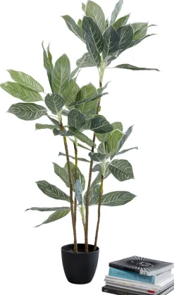KARE Design Tekokasvit*Calathea Tekokasvi 140cm