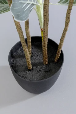 KARE Design Tekokasvit*Calathea Tekokasvi 140cm