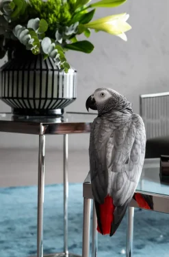 KARE Design Sohvapöydät*Comb Sohvapöytä Hopea 45cm