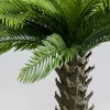 KARE Design Tekokasvit*Cycas Tekokasvi 70cm