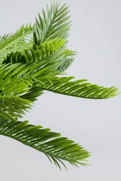 KARE Design Tekokasvit*Cycas Tekokasvi 70cm
