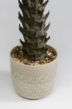 KARE Design Tekokasvit*Cycas Tekokasvi 70cm