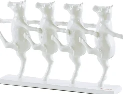 KARE Design Koriste-Esineet*Dancing Cows Lehmät Koriste-esine