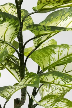 KARE Design Tekokasvit*Dieffenbachie Kirjovehka Tekokasvi 100cm