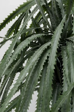 KARE Design Tekokasvit*Dragon Tree Tekokasvi 155cm