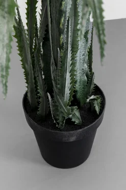 KARE Design Tekokasvit*Dragon Tree Tekokasvi 155cm