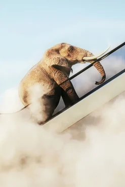 KARE Design Taulut*Elephant In The Sky Elefantti Kehystetty Taulu 150x100cm