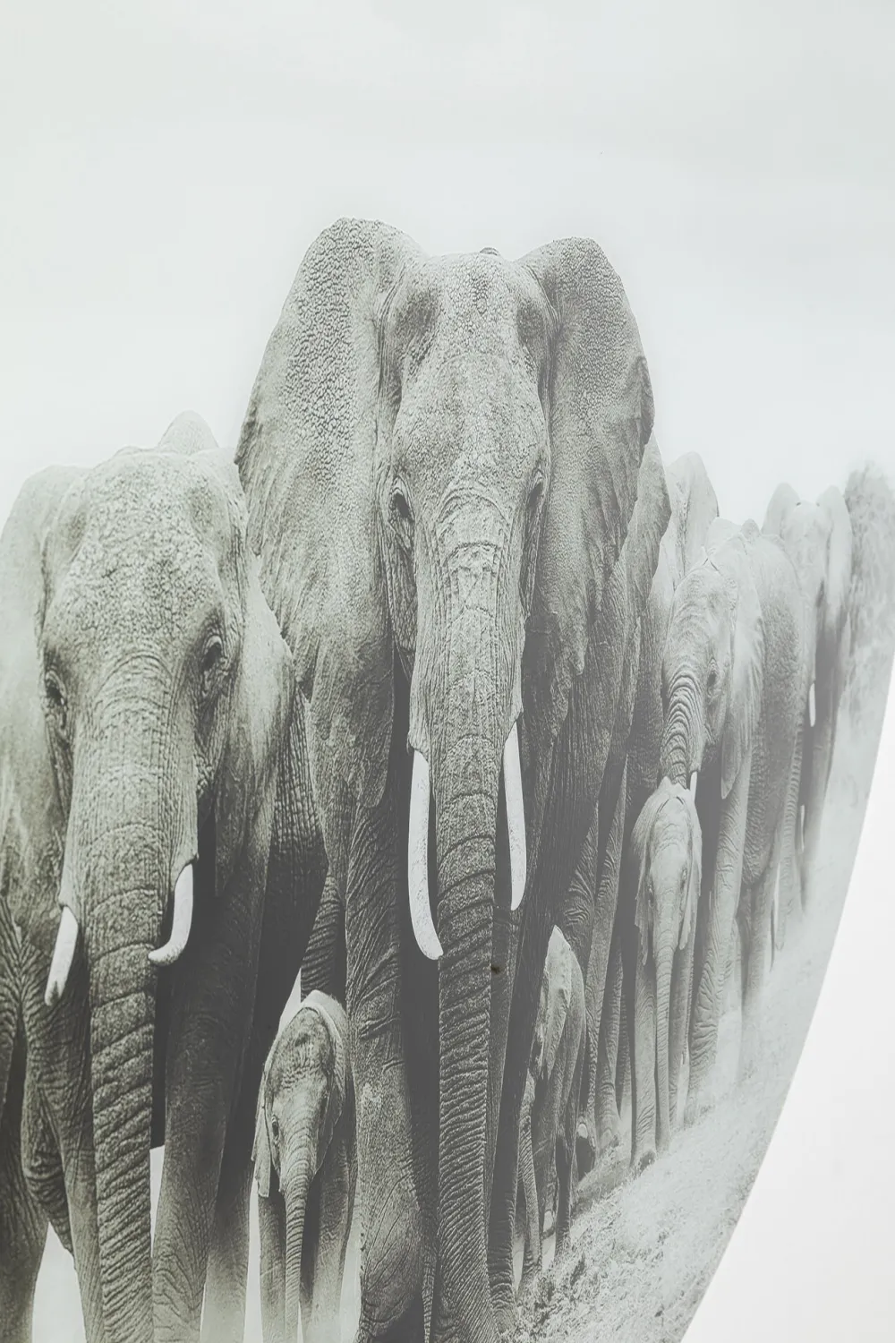 KARE Design Taulut*Elephant Walk - Elefantit, Pyöreä Lasitaulu Ø120cm