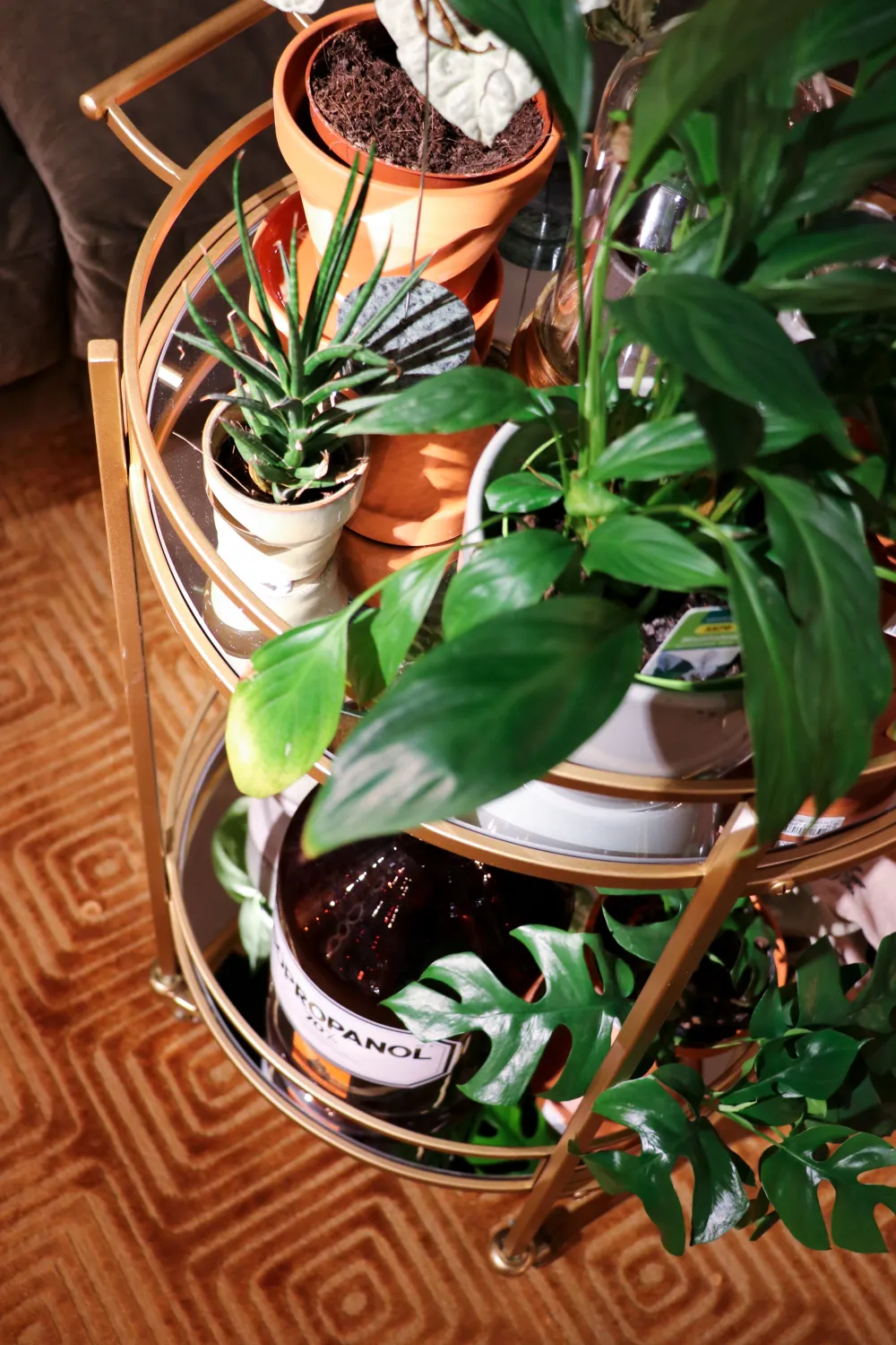 KARE Design Baarit*Emilia Tarjoiluvaunu, Baarivaunu