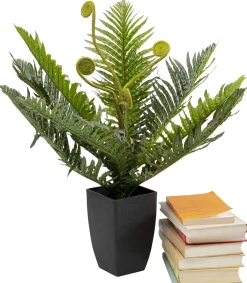 KARE Design Tekokasvit*Farn Saniaininen Tekokasvi 55cm