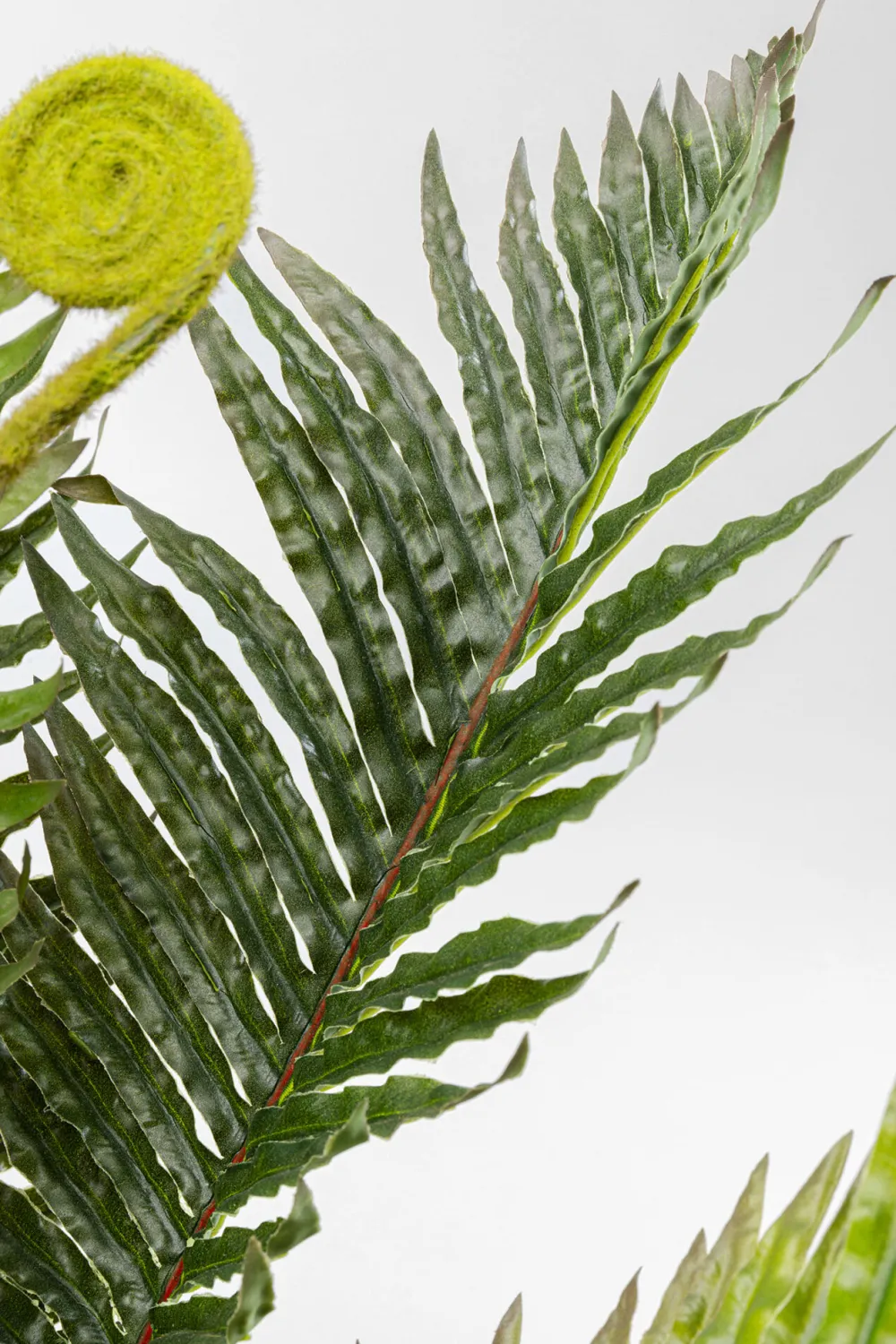 KARE Design Tekokasvit*Farn Saniaininen Tekokasvi 55cm