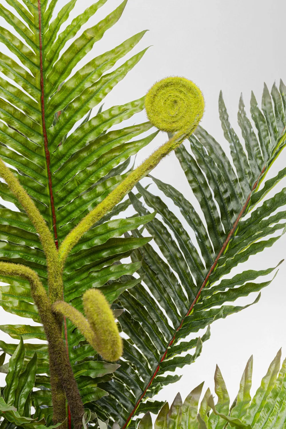 KARE Design Tekokasvit*Farn Saniaininen Tekokasvi 55cm