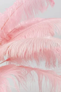 KARE Design Lattiavalaisimet*Feather Palm Lattiavalaisin Pinkki 165cm