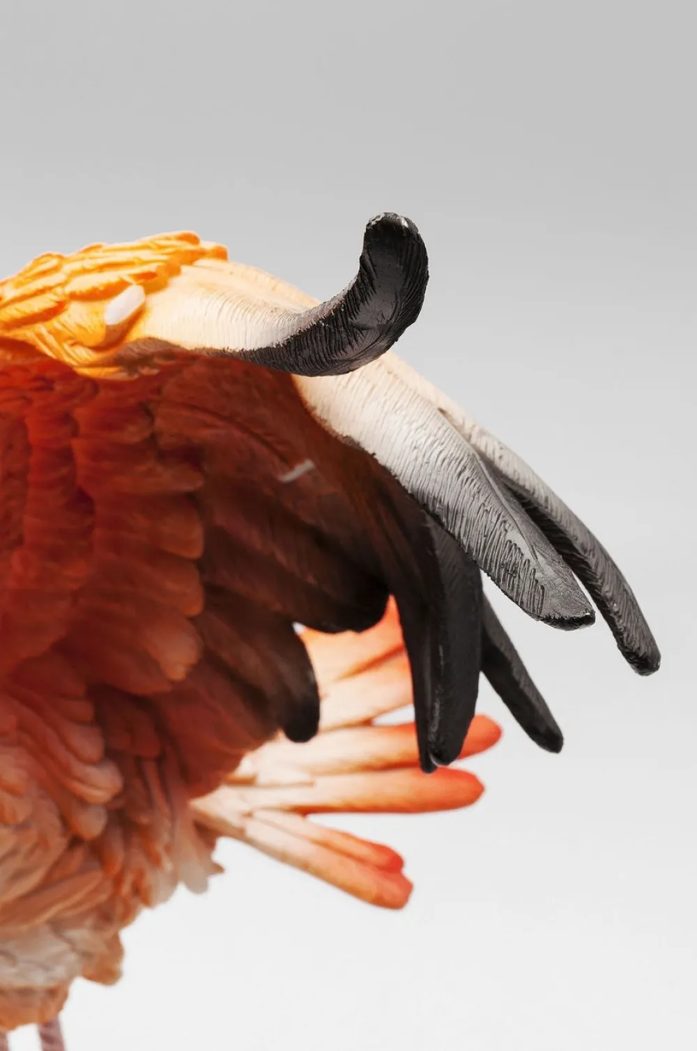 KARE Design Koriste-Esineet*Flamingo Road Fly Korisre-esine 66cm