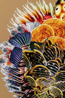 KARE Design Taulut*Flower Hair Kukka Hiukset 120x120cm