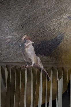 KARE Design Taulut*Gentleman Cuts Kehystetty Taulu 130x163cm