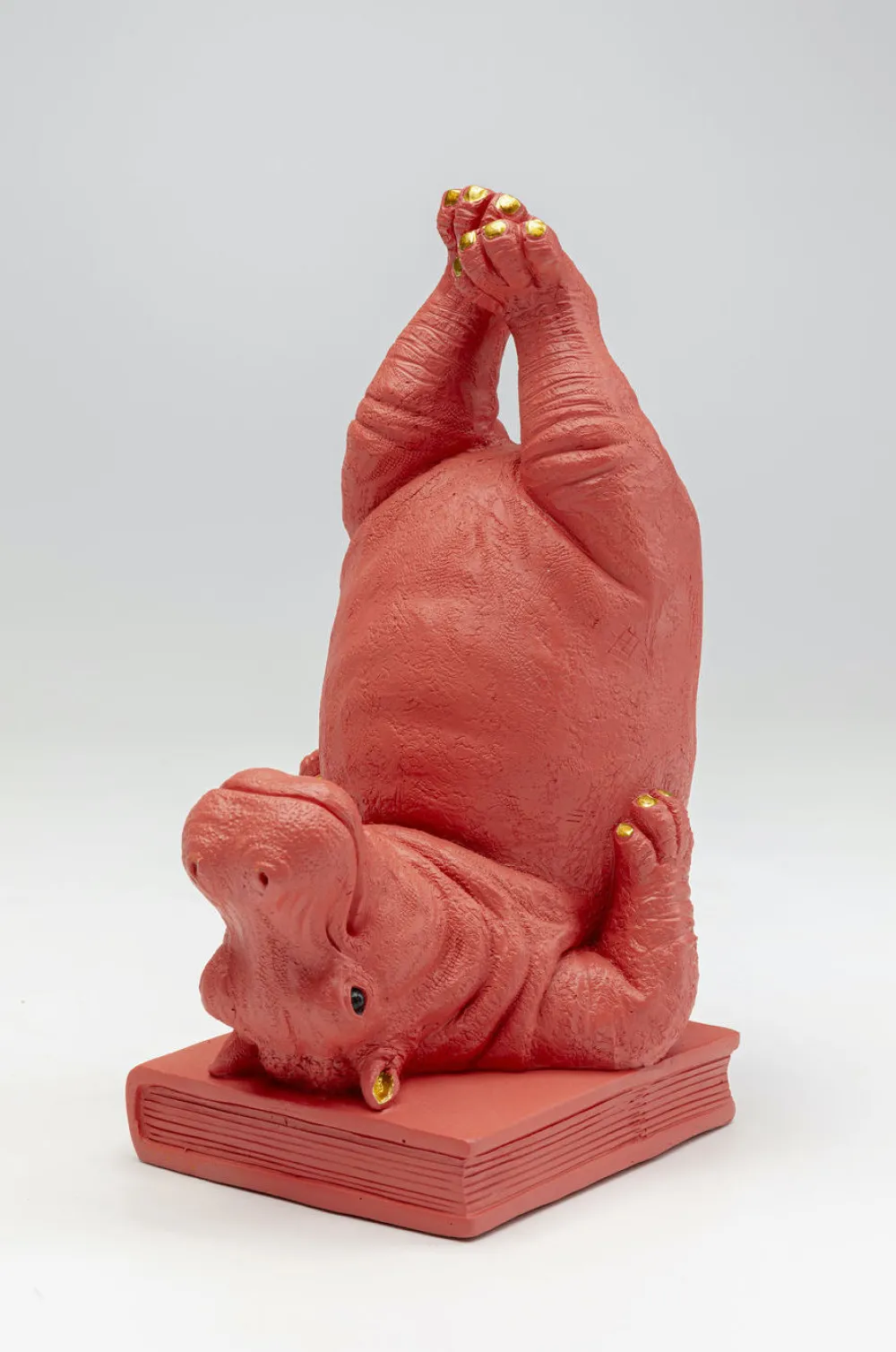 KARE Design Kirjatuet*Hippo Pink Kirjatuet (2/Setti)