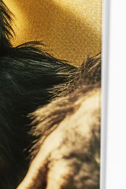 KARE Design Taulut|Olohuone*Holiday Monkey Apina Lasitaulu 80x60cm