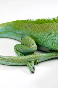 KARE Design Koriste-Esineet*Lizard Green Lisko Koriste-esine Vihreä 35cm