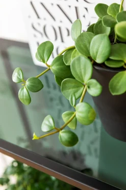 KARE Design Olohuone|Hyllyt*Loft Hylly, Musta 115x195cm