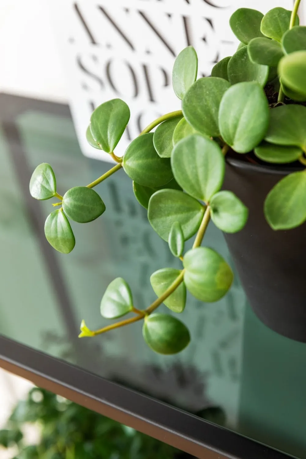 KARE Design Olohuone|Hyllyt*Loft Hylly, Musta 115x195cm