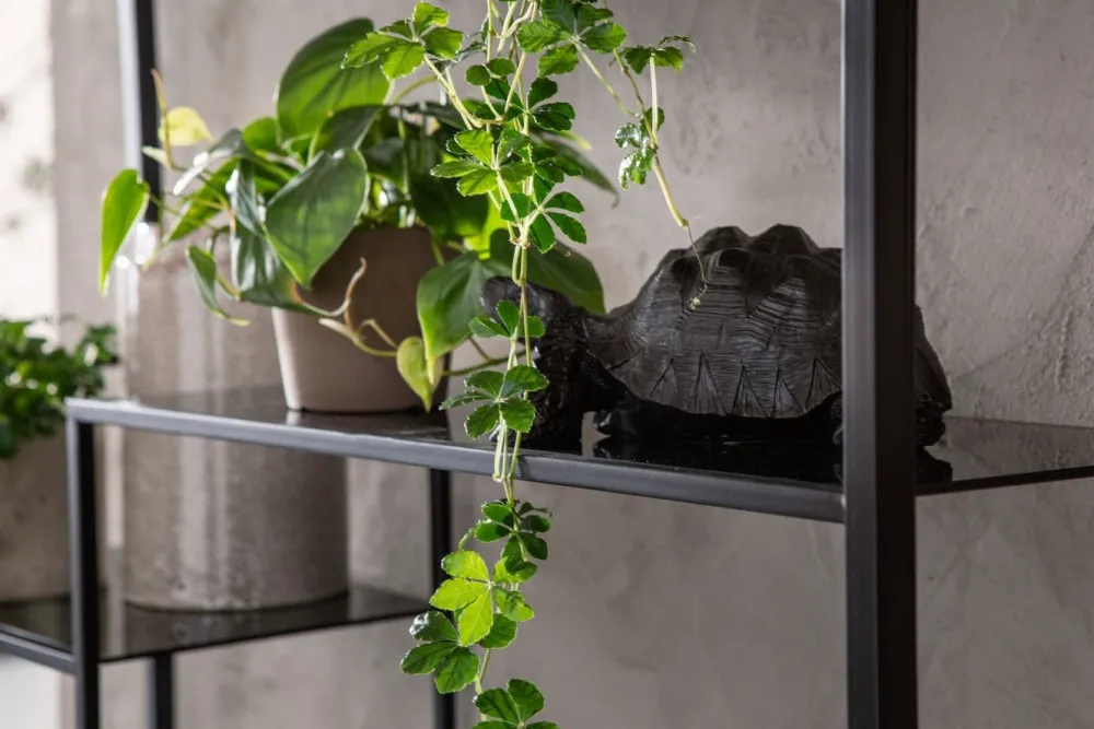 KARE Design Olohuone|Hyllyt*Loft Hylly, Musta 115x195cm