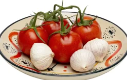 KARE Design Kulhot*Los Cabos Lautanen Ø22cm