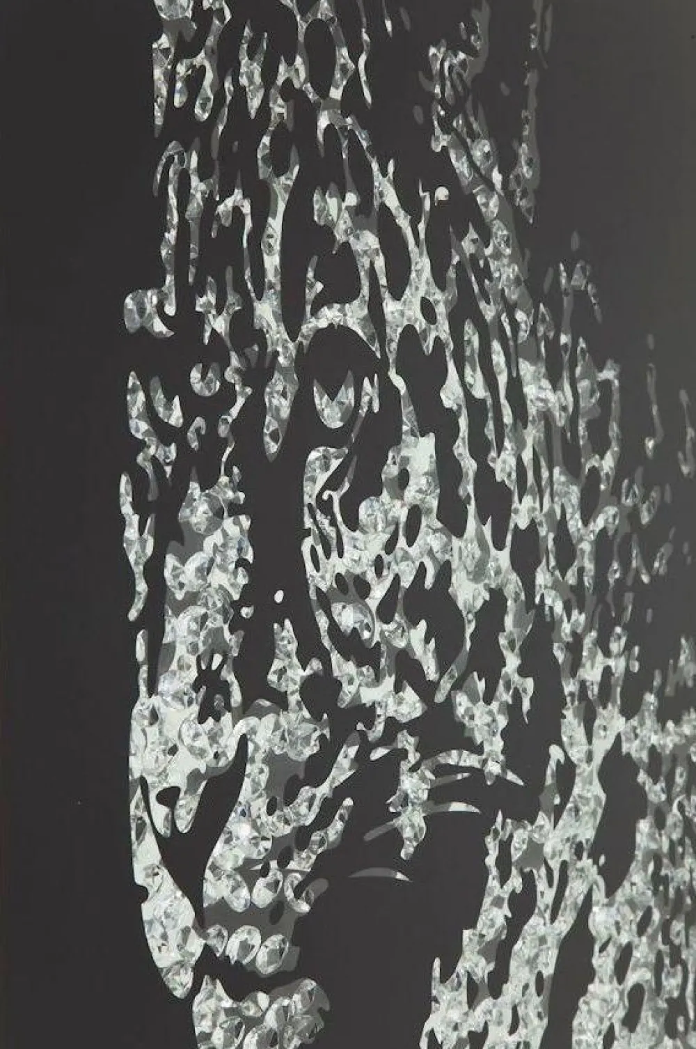 KARE Design Taulut*Mirror Leopard Kehystetty Taulu 80x80cm