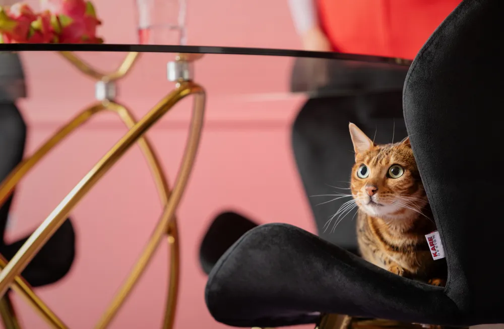 KARE Design Pöydät*Molekular Pöytä, Kulta Ø120cm