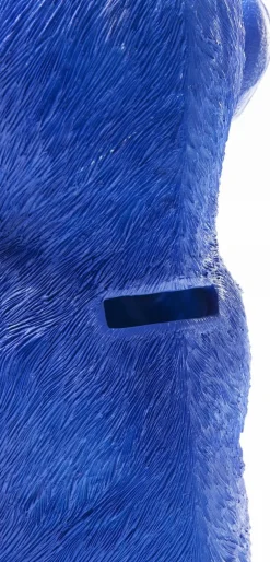 KARE Design Säästölippaat*Monkey Mizaru Apina Säästölipas, Sininen