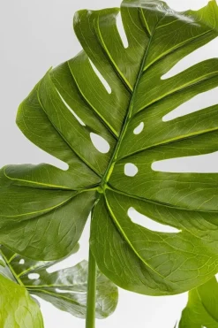 KARE Design Tekokasvit*Monstera Tekokasvi 110cm
