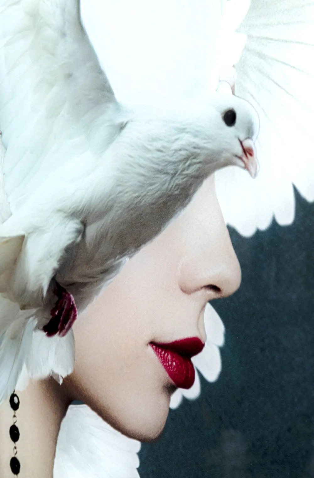 KARE Design Taulut*Mother Of Doves Lasitaulu 80x120cm