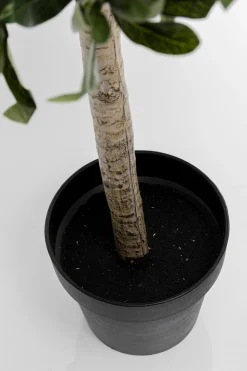 KARE Design Tekokasvit*Olive Tree Oliivipuu Tekokasvi 120cm