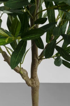KARE Design Tekokasvit*Olive Tree Tekokasvi 150cm
