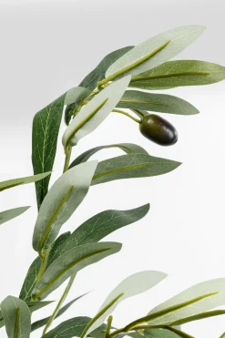 KARE Design Tekokasvit*Olive Tree Tekokasvi 150cm