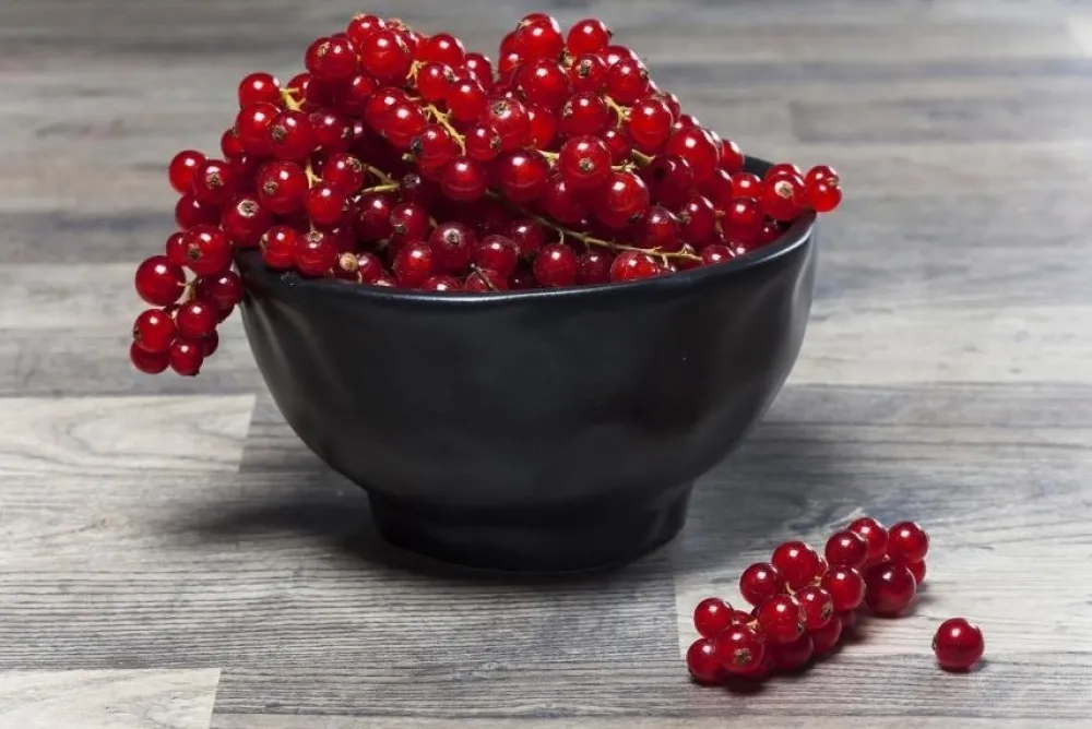 KARE Design Mukit*Organic Black Kulho Ø15cm