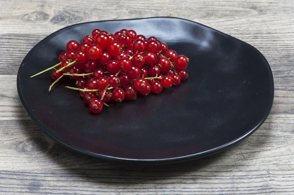 KARE Design Lautaset*Organic Black Lautanen Ø20cm