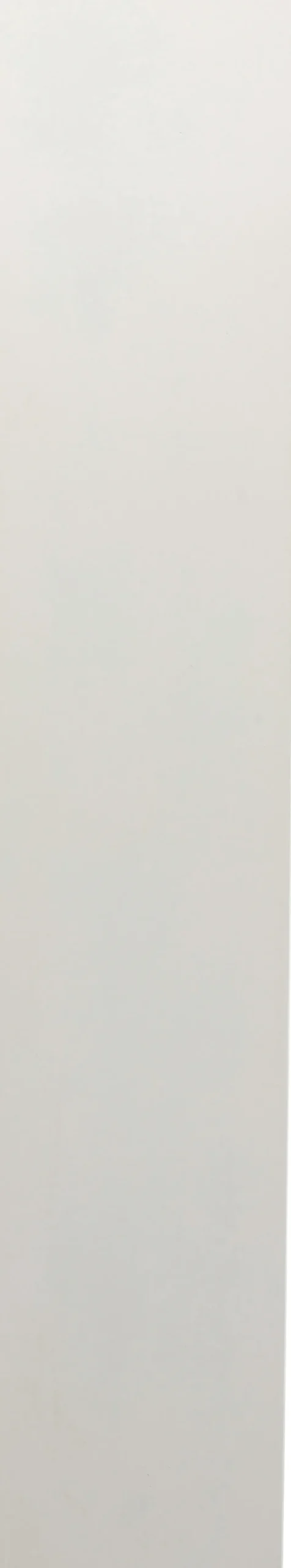 KARE Design Hyllyt*Paco Hylly Valkoinen 48x180cm