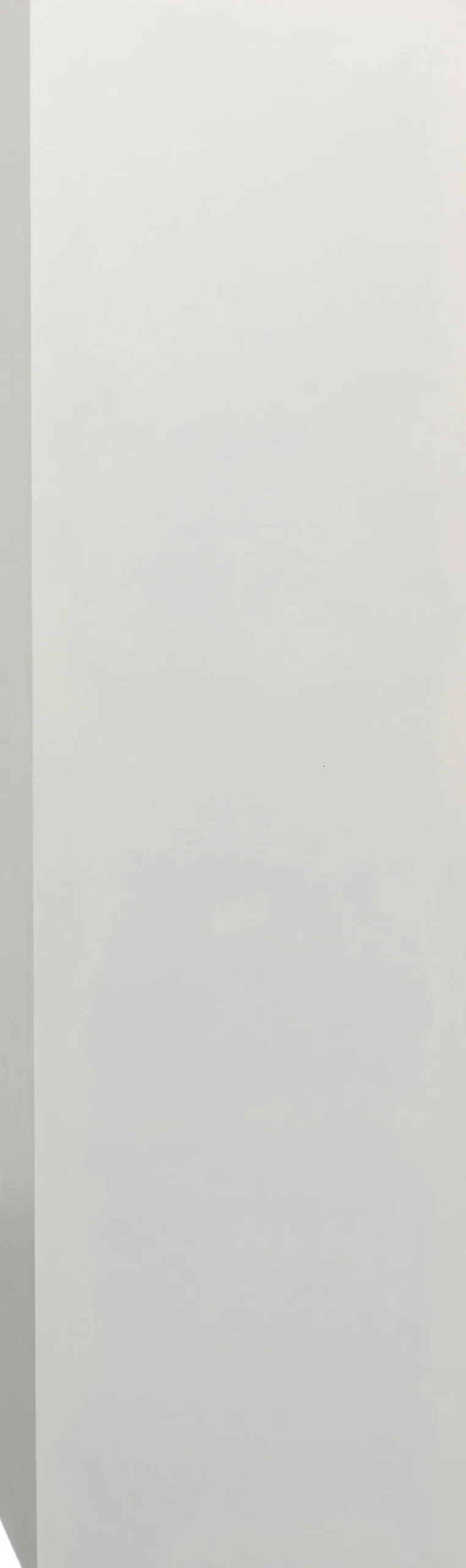 KARE Design Hyllyt*Paco Hylly Valkoinen 48x180cm