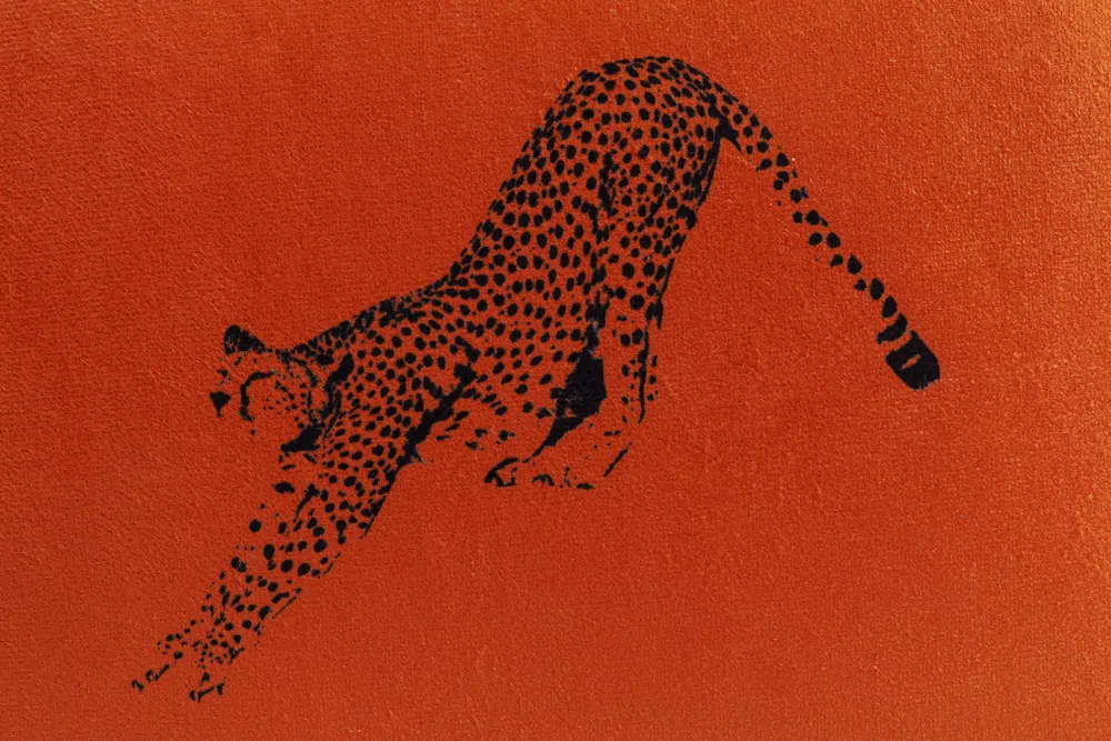 KARE Design Sisustustyynyt|Olohuone*Panter Tyyny 45x45cm