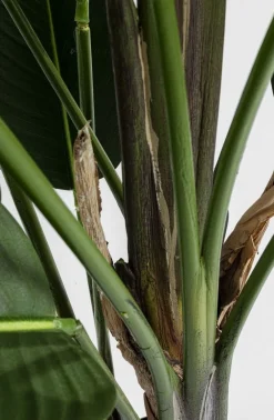 KARE Design Tekokasvit*Paradise Flowers Tekokasvi 190cm